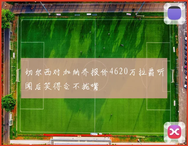 切尔西对加纳乔报价4620万拉爵听闻后笑得合不拢嘴